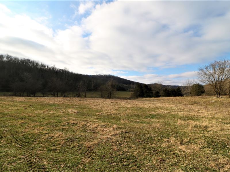 Farm/Hunting Property 174.75 Acres, Land for Sale in Kentucky, #230302 ...