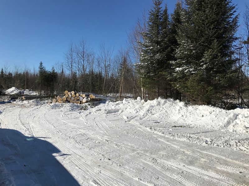 Wooded Land For Sale in Maine Land for Sale in Mount Chase, Penobscot