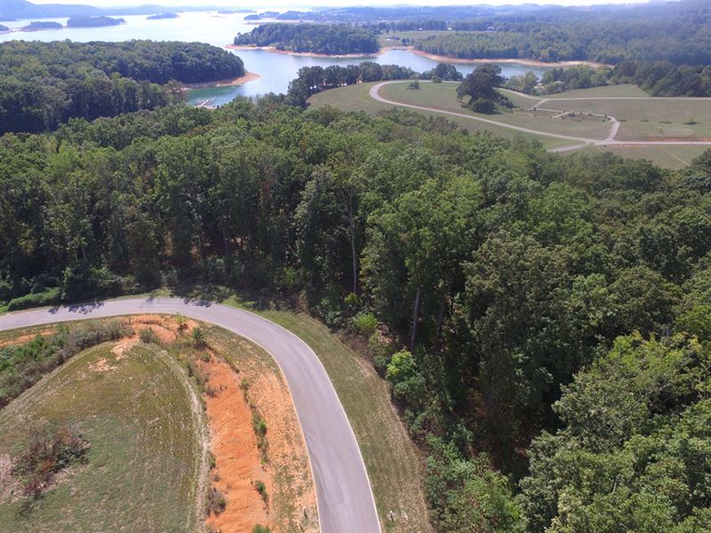 Partially Cleared Building Lot : Rutledge : Grainger County : Tennessee