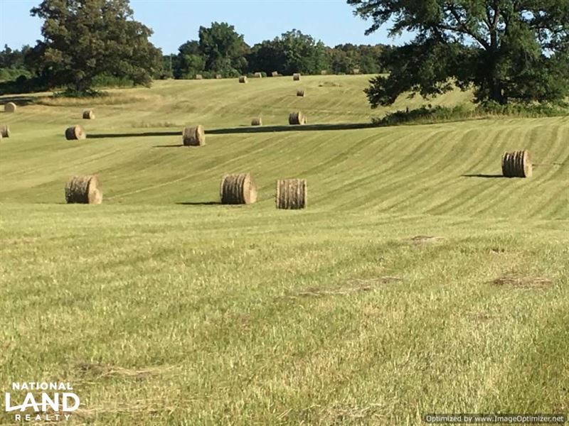 gently-rolling-pasture-land-land-for-sale-in-lexington-holmes-county