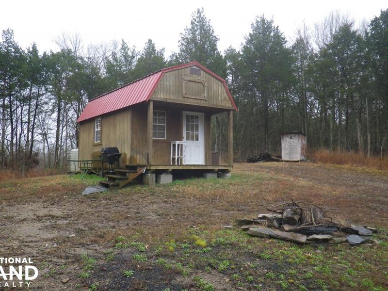 Hunting Cabin on 41 Acres Land for Sale in Burkesville, Cumberland