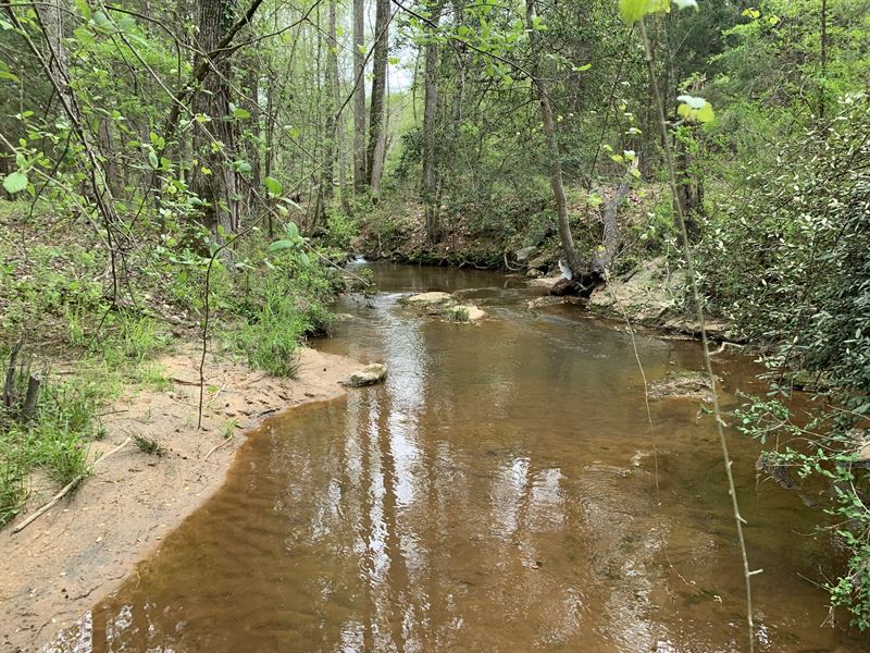 Wooded Acreage with Creek : Anderson : Anderson County : South Carolina