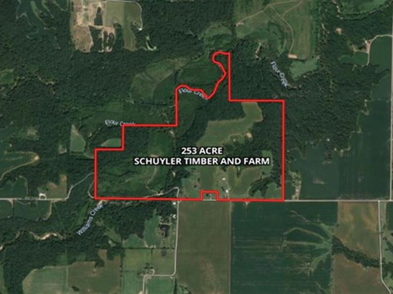 253 Ac Schuyler Timber & Farm Land Land for Sale in Plymouth