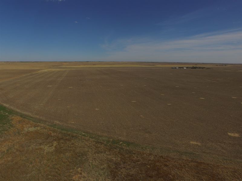 Gray County Half-Section : Land for Sale in Goodland, Gray County ...