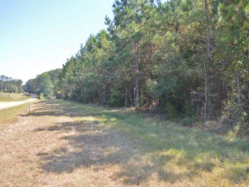 Rural Small Acreage Land for Sale 3 : McComb : Pike County : Mississippi