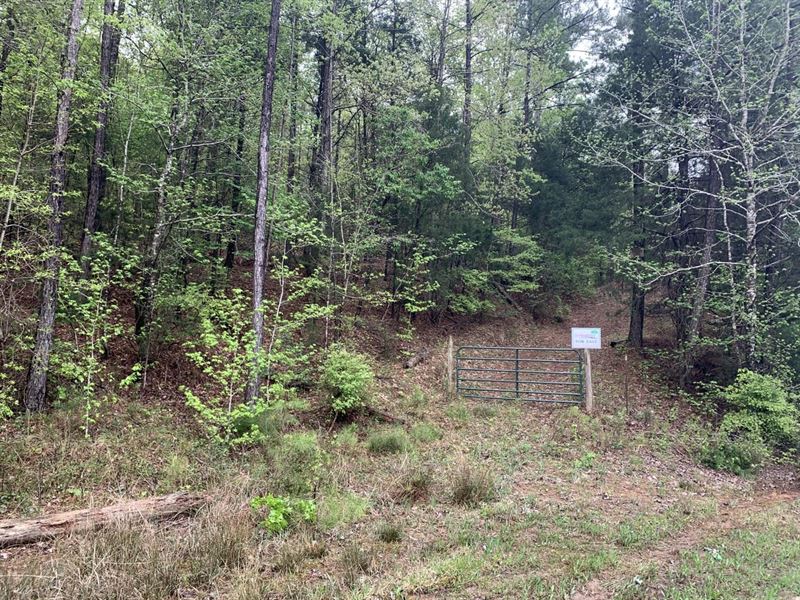 17 Acres Adjoining National : Marion : Perry County : Alabama