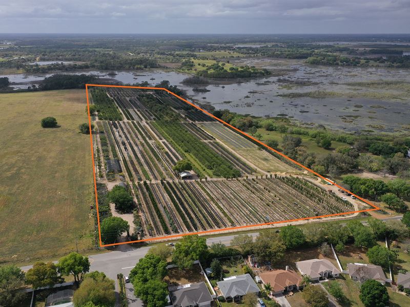 Lake County Tree Farm : Clermont : Lake County : Florida