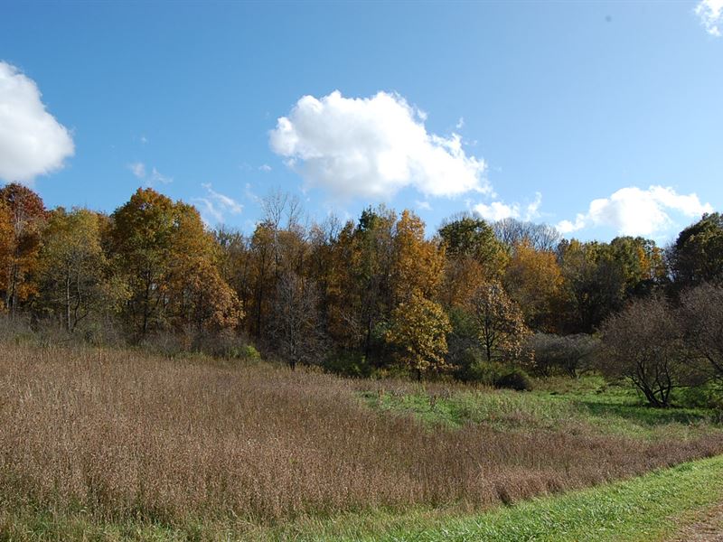 Beautiful Cul-De-Sac Double Lot : La Valle : Sauk County : Wisconsin