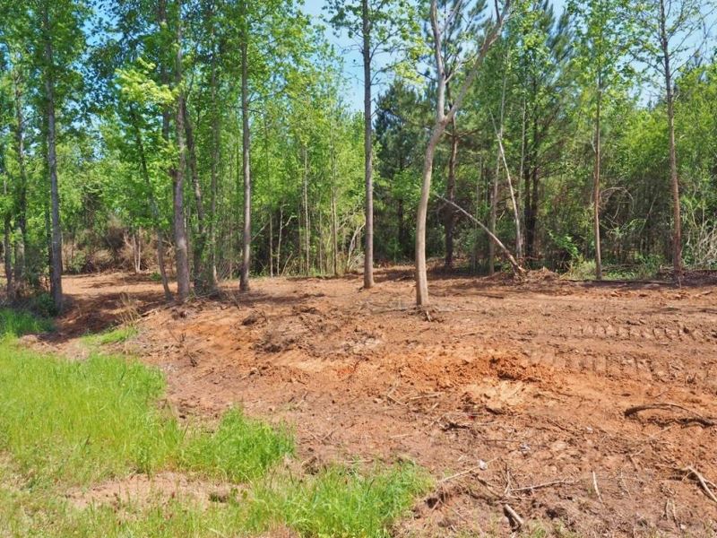 8.97 Acres Timber Land for Sale, Mc : McComb : Pike County : Mississippi