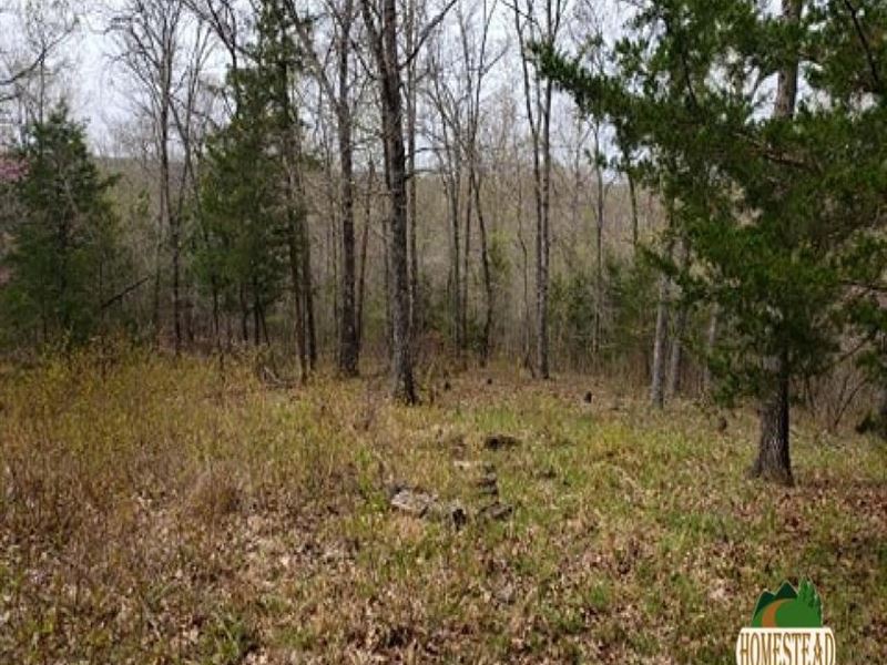 Secluded Hunting Parcel : Ava : Douglas County : Missouri