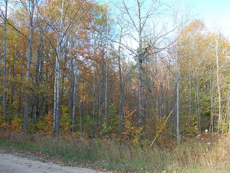 Beautiful Secluded Corner Lot : Elmira : Antrim County : Michigan