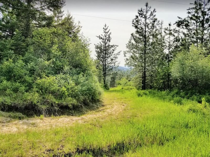 Forested Acreage St, Maries, Idaho, Land for Sale in Idaho, 241110