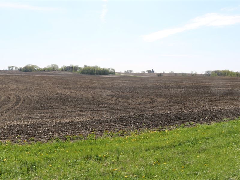 Farm Land for Sale Dodge Count, WI : Burnett : Dodge County : Wisconsin