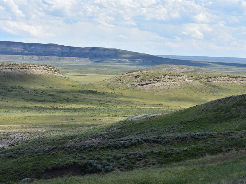 Fossil Field 99 : Land for Sale in Medicine Bow, Carbon County, Wyoming ...