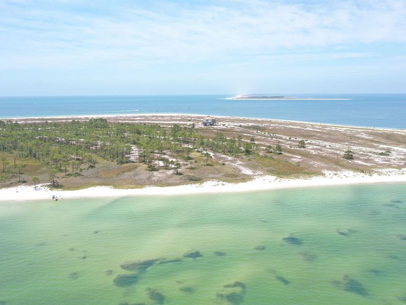 Dog Island Bayfront 20 Acres : Land for Sale in Carrabelle, Franklin