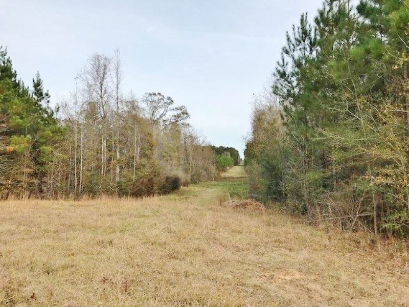 40 Wooded Acres With Frontage On Te : Land for Sale in Magnolia, Pike ...