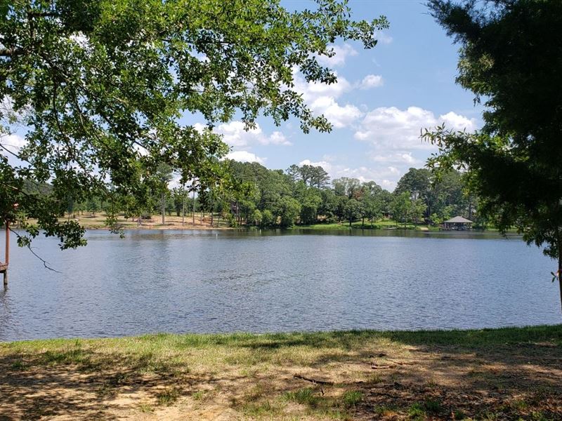 Waterfront Lot Lake Palestine East : Frankston : Henderson County : Texas