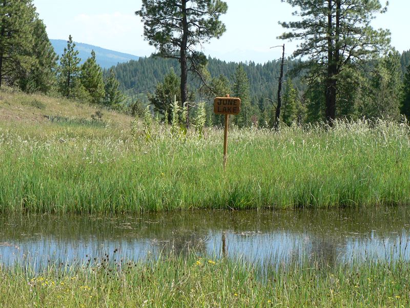 June Lake Retreat : Sumpter : Baker County : Oregon