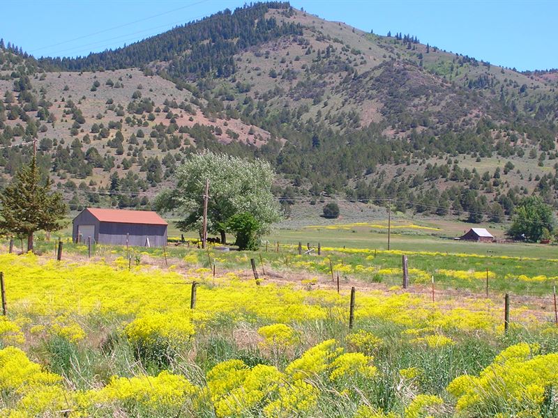 Goose Lake Northern California : New Pine Creek : Modoc County : California