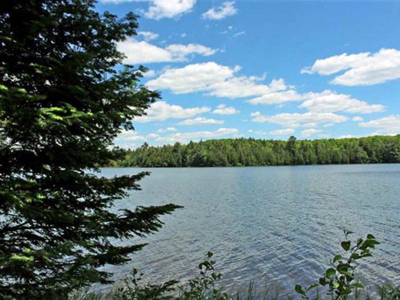 White Pine Lodge : Land for Sale in Amasa, Iron County, Michigan ...