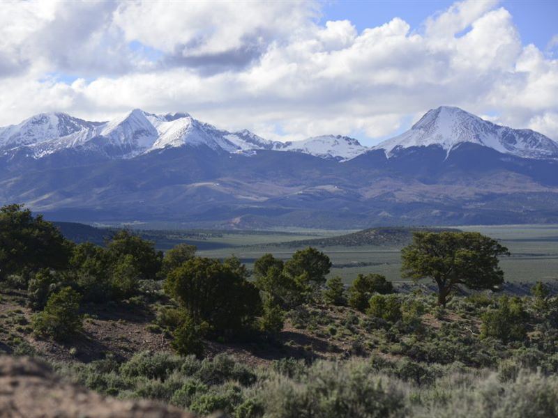 10 Acres in The Sangre DE Cristo, Land for Sale by Owner in Colorado ...