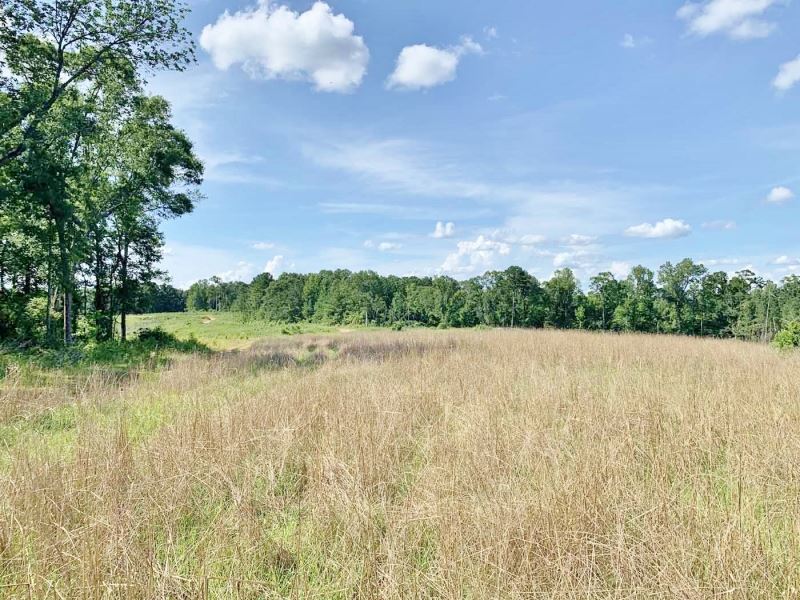 345 Acres Timber Hunting Land Jeffe Land for Sale in Lorman