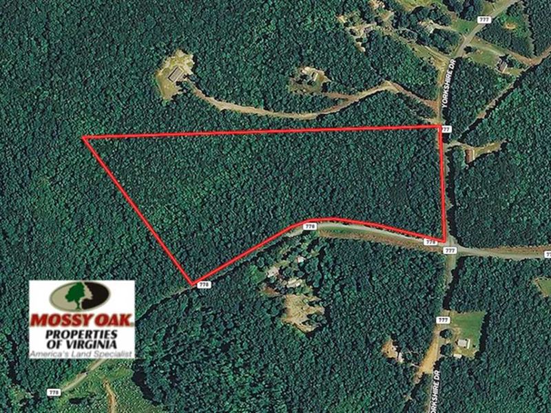 24 Acres of Hunt Land for Sale in Sandy Level, Pittsylvania County