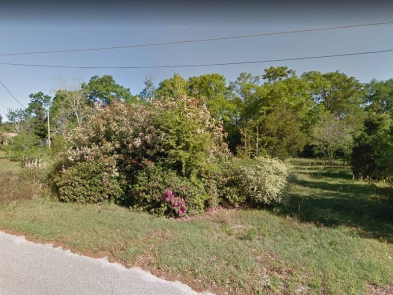 .35 Acres for Sale in Molino, FL : Land for Sale by Owner in Molino