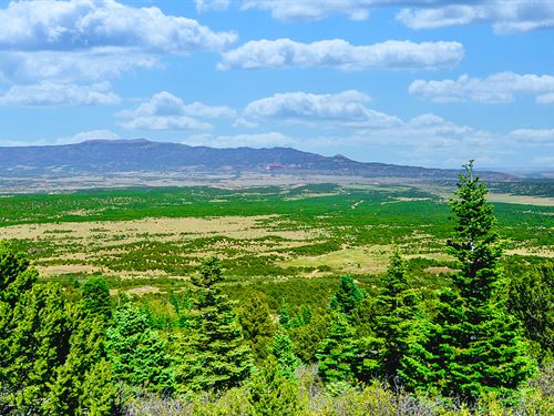Hinsdale County, CO Land for Sale - 5 Listings - LandWatch