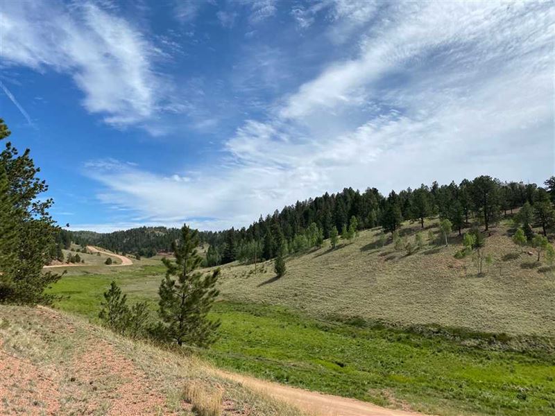 Land For Sale Near Cripple Creek Colorado