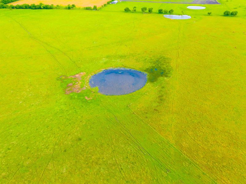 15 Acres with Bass Stocked Pond Land for Sale by Owner in Mart