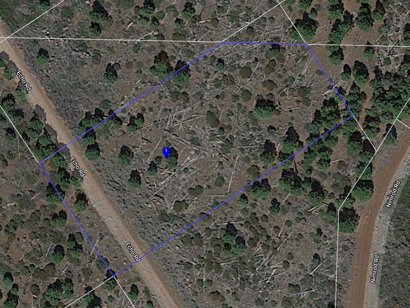 1 Acre in California Pines : California Pines : Modoc County : California