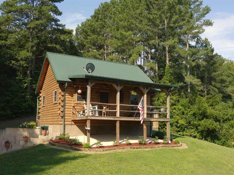 Log Cabin 32 Acres East Tennessee : Land for Sale in Mosheim, Greene ...