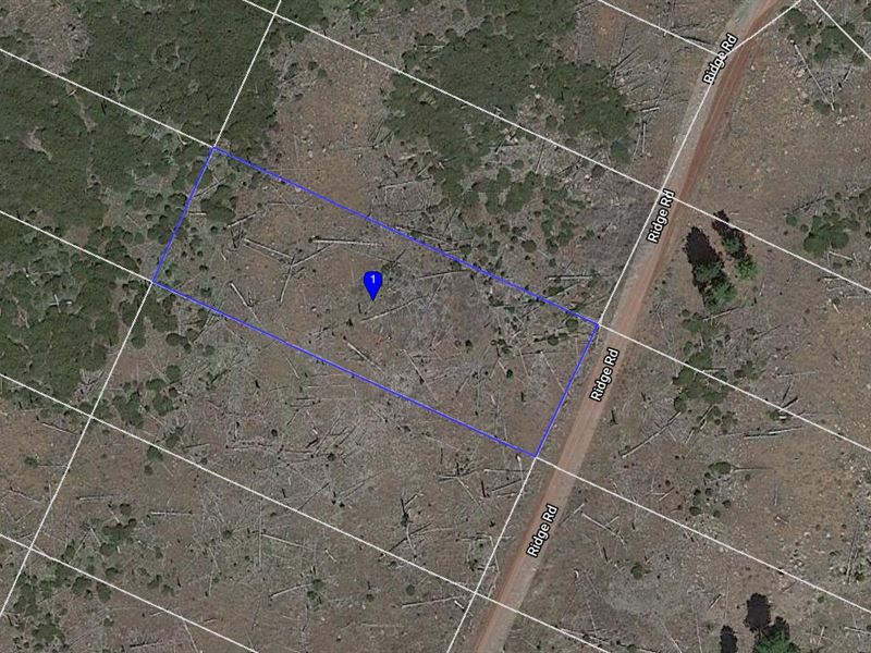 .95 Acre in California Pines : California Pines : Modoc County : California