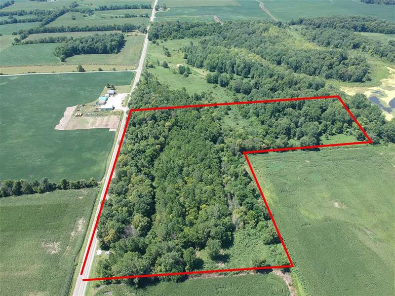 Land For Sale, 20 Acres Wooded Land for Sale in Rochester, Fulton