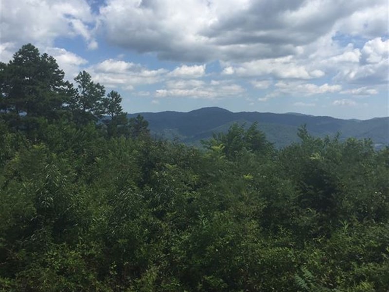 Spectacular Long Range View : Land for Sale in Weaverville, Buncombe ...