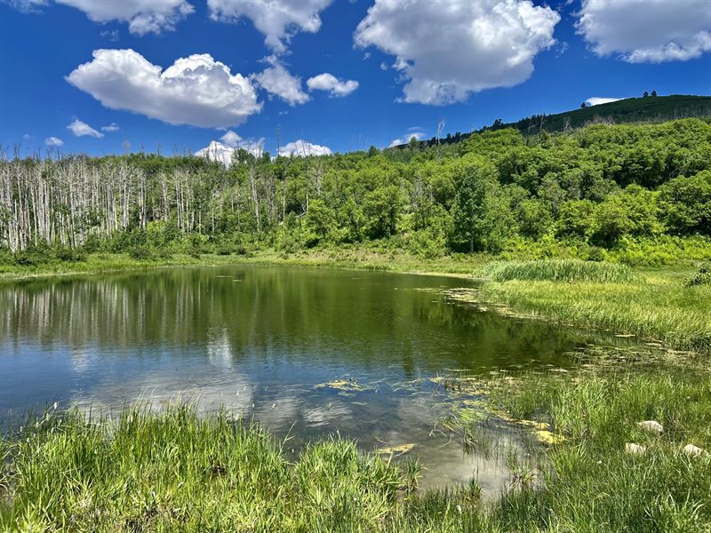 Pond Rock Elk and Cattle Ranch : Dolores : Dolores County : Colorado