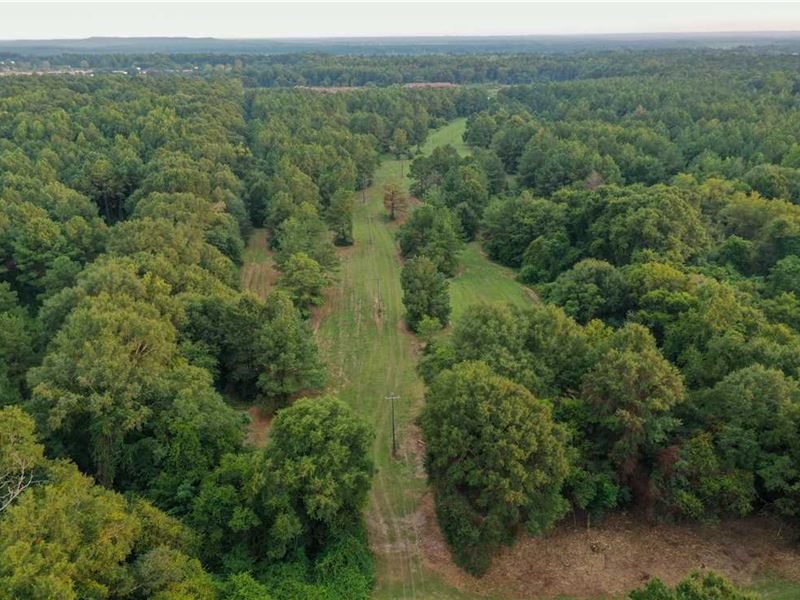 43 Acres of Land for Sale in Autau : Prattville : Autauga County : Alabama