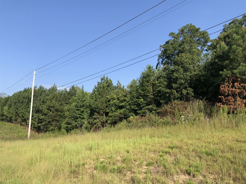 2.96 Ac Zoned C1, Cartersville, GA : Cartersville : Bartow County : Georgia