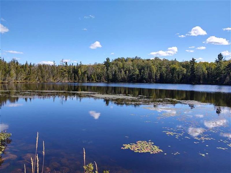 5 Acre Lake 41, 72 Acres : Land for Sale in Michigamme, Marquette ...