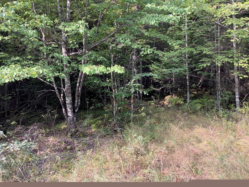 Land For Sale in Downeast Maine Land for Sale in East Machias