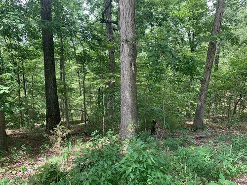 Find Land for Lease & Property Near Me : LANDFLIP