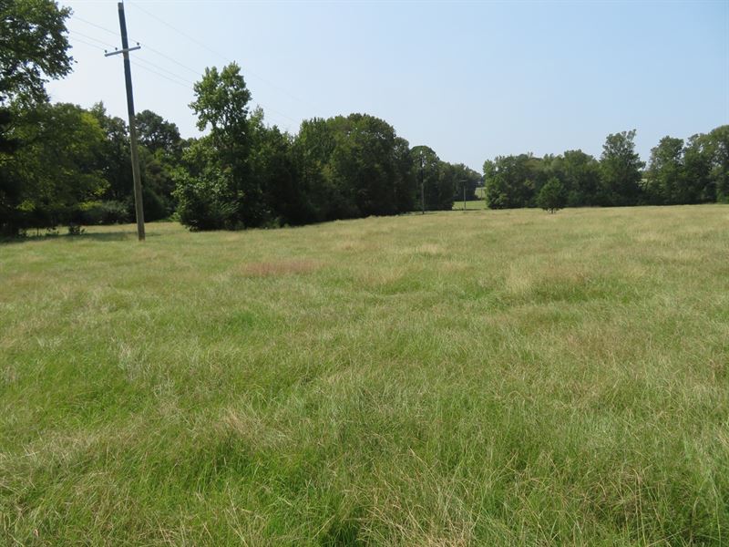 East TX Land 98.8 Acres Cass : Land for Sale in Marietta, Cass County ...