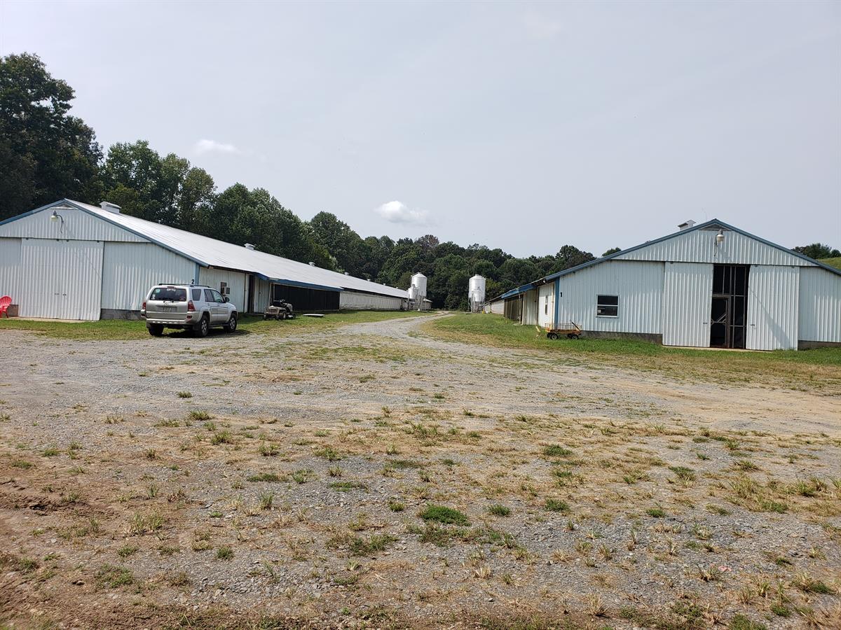 chicken farm for sale ga