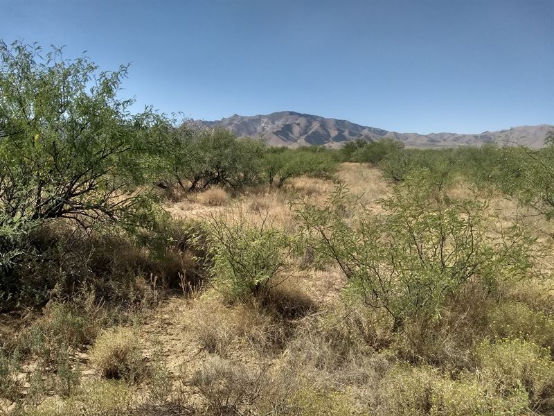 4+ Acre Dream Home Corner Lot : Cochise : Cochise County : Arizona