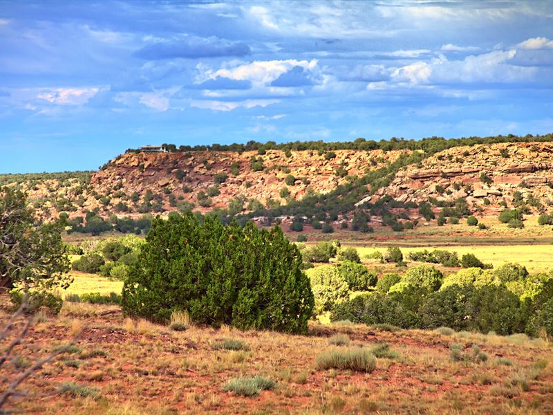 Arizona Secluded Wilderness Ranch Land for Sale in Concho, Apache