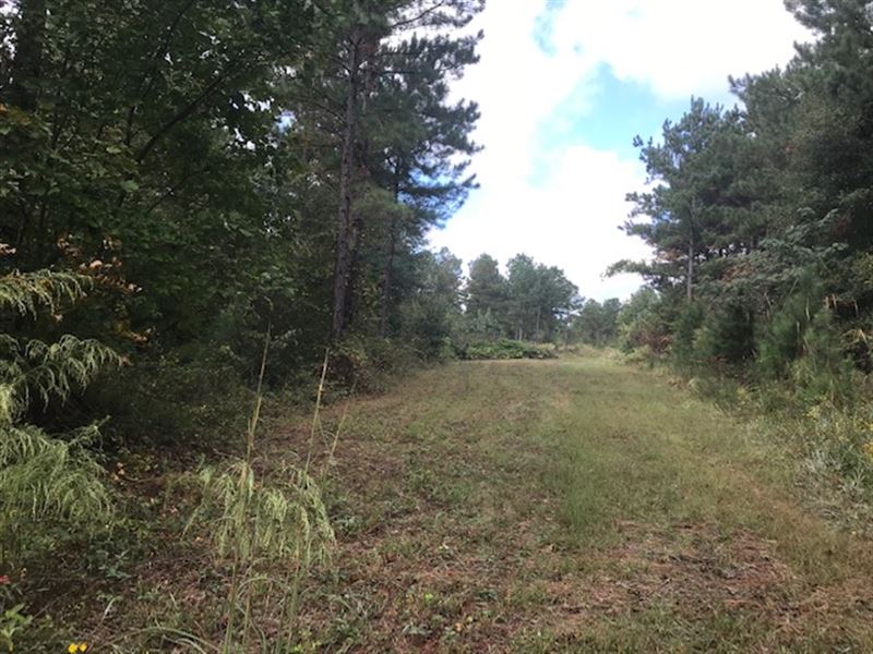 $2,363/Ac, Green Fields : Land for Sale in Odenville ...