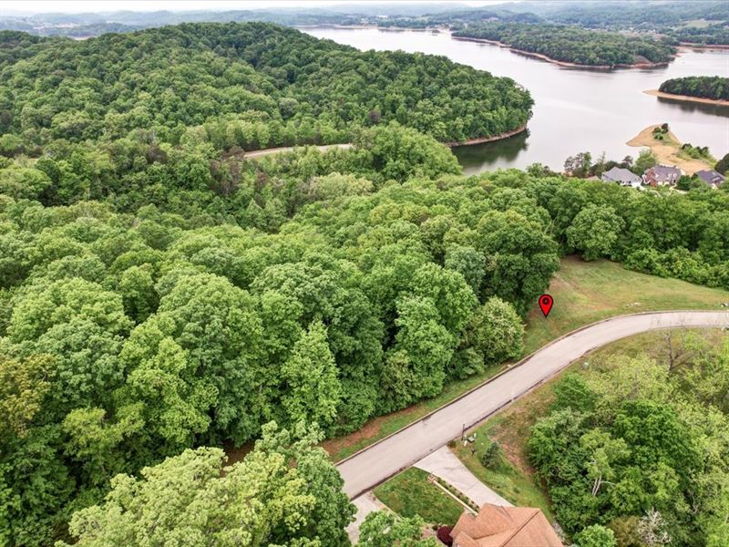 1.41 Acre Lot, Seasonal Lakefront : Russellville : Hamblen County : Tennessee