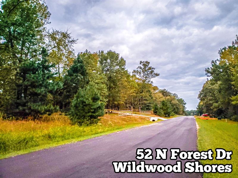 .17 Acres in Walker County : Land for Sale in Huntsville ...