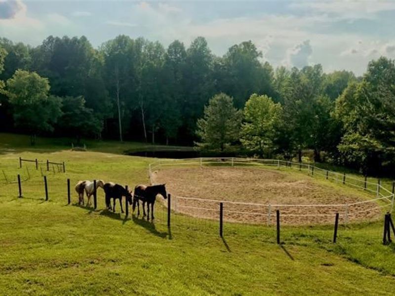 Land With Pond For Sale Virginia - Land For Sale In Virginia With Pond / Find farms, ranches, acreage, and country homes for sale.